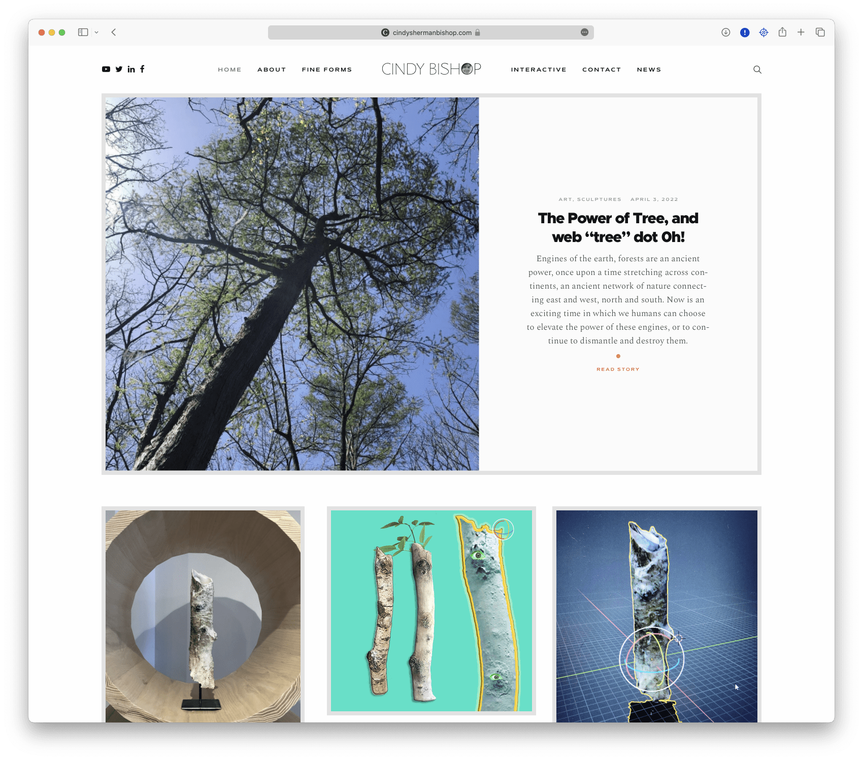 A website screen shot featuring a tree.